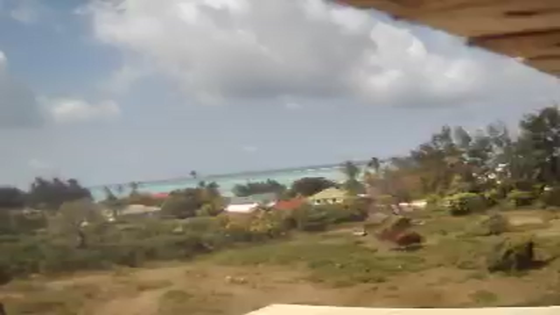Live Webcam